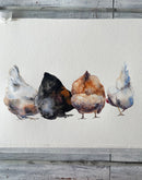 Hens. Fluffy Boots.-3