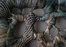 Fairy Glen-3
