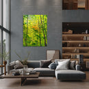 Natures Rhythms-3