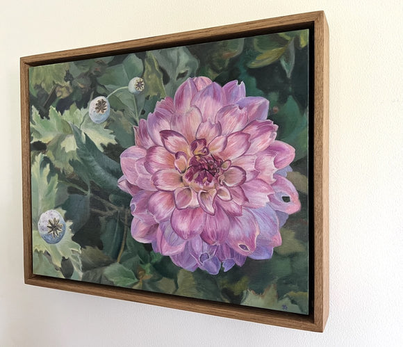 The Garden Dahlia
