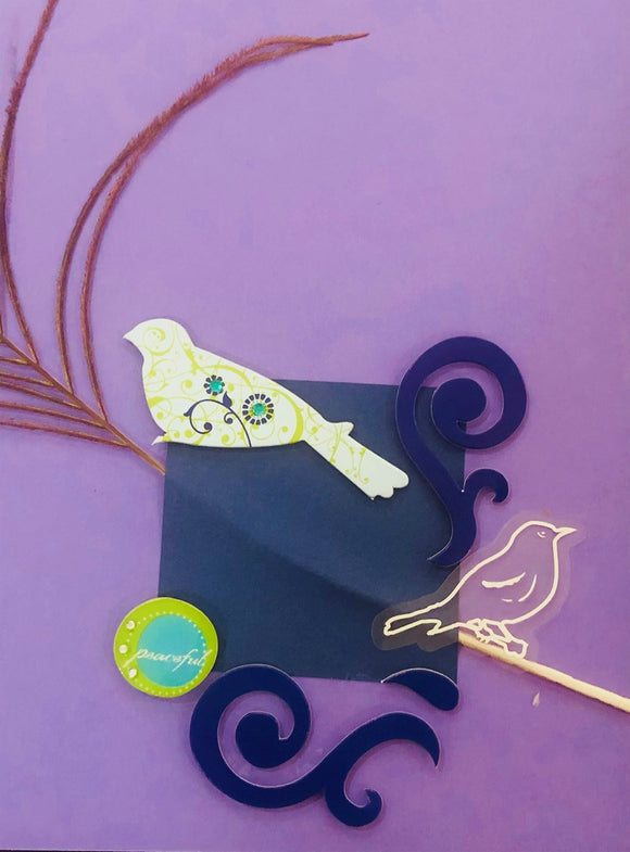 Peacock and Plumage