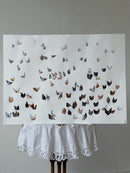 Lots of Hens-3