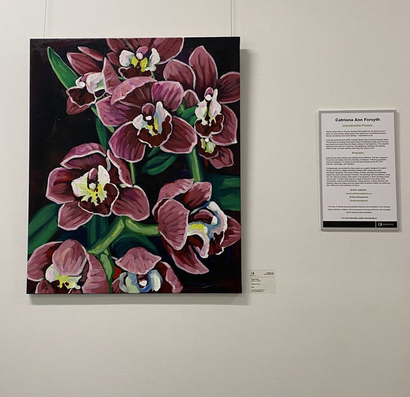 Phalaenopsis