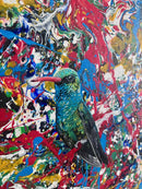 Broad-Billed Hummingbird-4