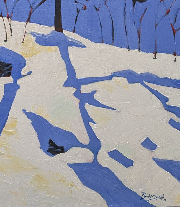 Winter light, Seaton Trail