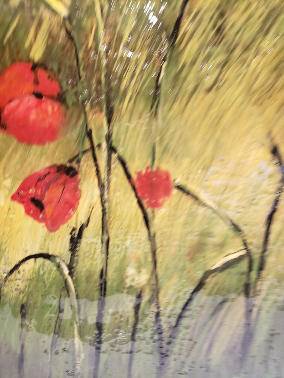 Landscape, poppy seeds,