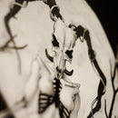 Full Moon-3