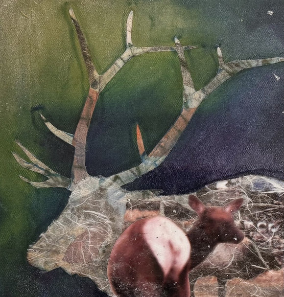 Rocky Mountain Elk III
