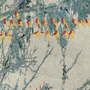 The Laughing Tree-3