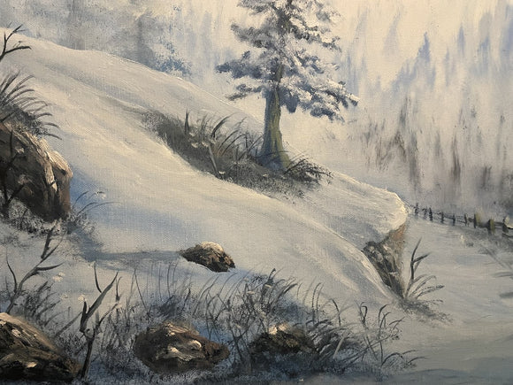 Winter country road