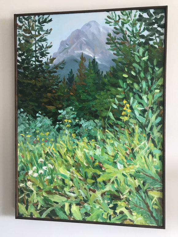 Undergrowth - Kananaskis