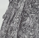 Textured Growth-3