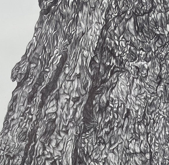 Textured Growth