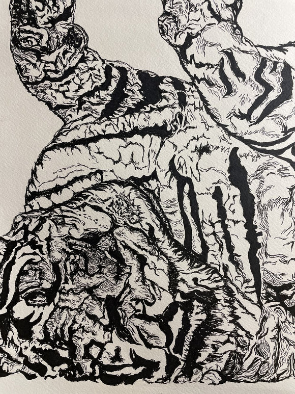 Laying Tiger