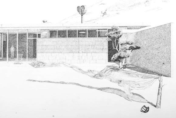 NIMBY (Neutra-lized)