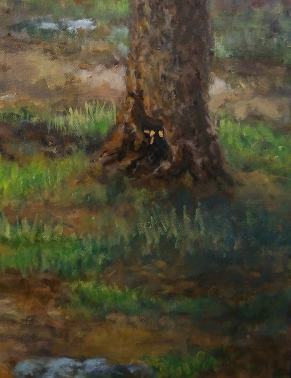In the Enchanted Forest