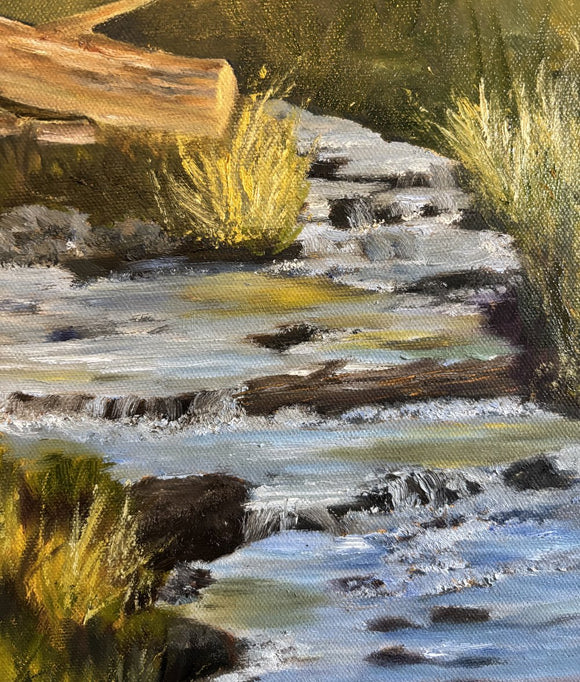 Cold Mountain Creek
