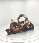 Dinoslope-3