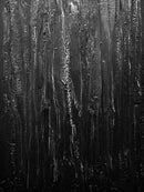 Structural Presence II-3