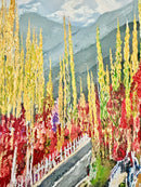 Hunza Valley-3