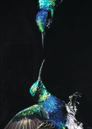 Hummingbirds-3