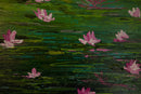 Water Lily-3