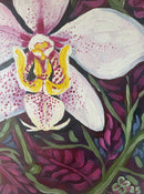 Orchid with Patterns-3