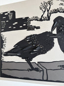 Grooming Ravens-3