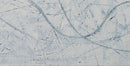 Web of Life-3
