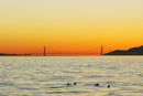 San Francisco Bay and Golden Gate Bridge-3