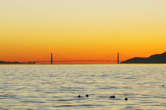San Francisco Bay and Golden Gate Bridge