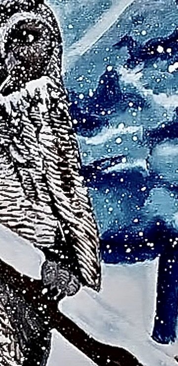 Great Horned Owl in the Snow