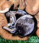 The Peaceable Kingdom: My Prayer for Peace in Our Nation-3