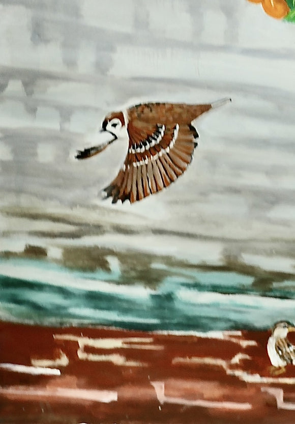 More Than Many Sparrows