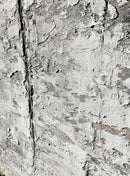 Prairie Icescape-3