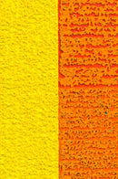 HOT HOUSE-2
