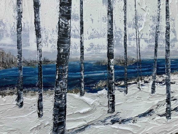 Another Winter's Cove