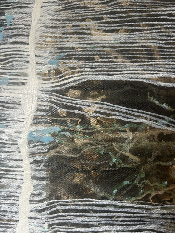 Shards - Window