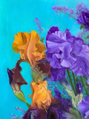 Orange & Amethyst Irises in the glass vases-3