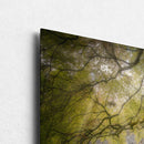 Twisted Light-3