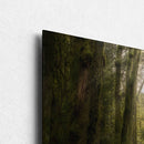 The Clearing-3