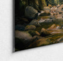 Mossy Canyon-3