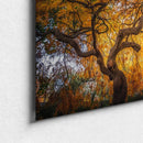 Branching Out-3