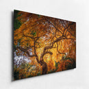 Branching Out-3