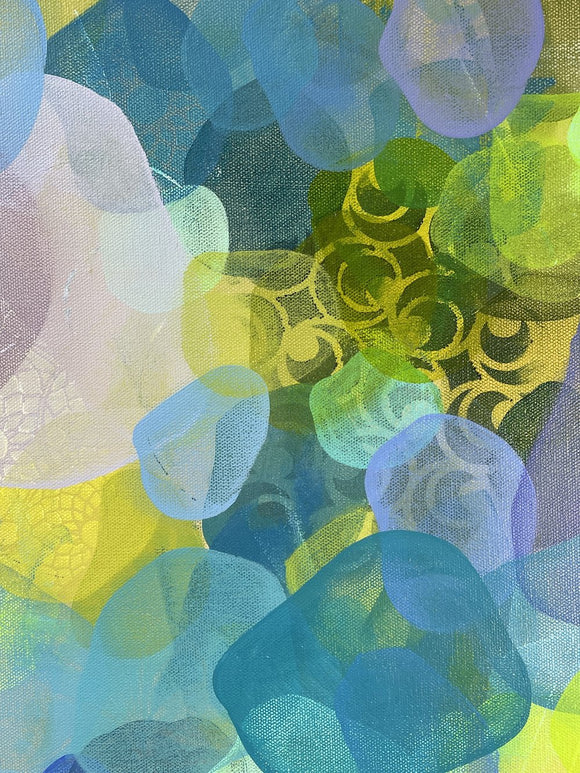 Kelp Forest
