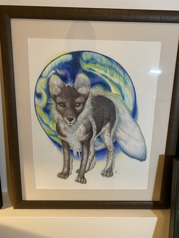 Arctic fox (Vulpes lagopus)