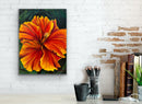 Golden Hibiscus-3