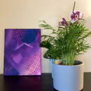 Purple Dream-2