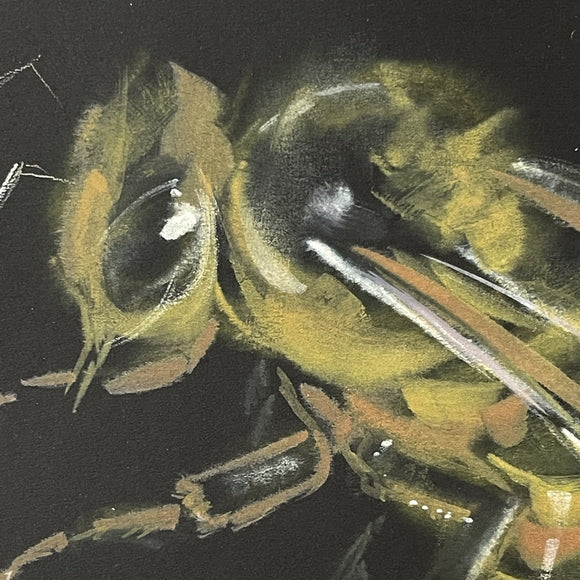 Honey Bee