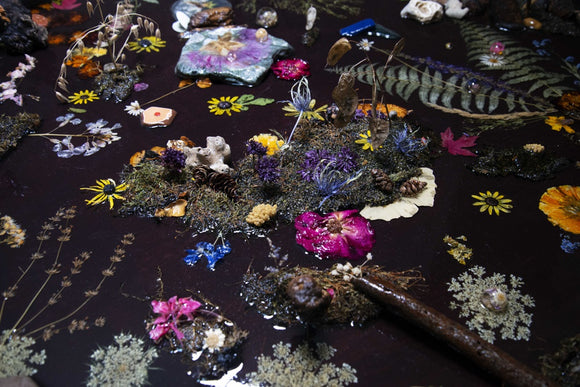 I SPY,  Terraforming (2024)